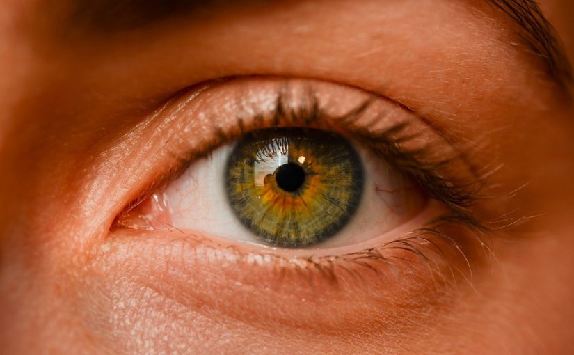 Oczy to nadzwyczajny organ. To otóż to dzięki nim widzimy.